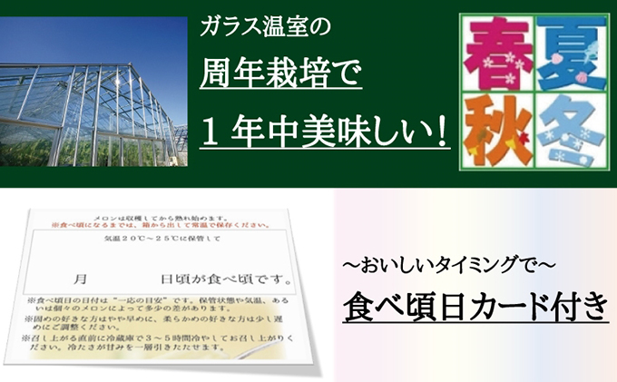 数量限定！『クラウンメロン ”名人メロン” 1玉 定期便3ヶ月』 【桐箱入】 メロン 人気 厳選 ギフト 贈り物 デザート グルメ フルーツ 果物 袋井市