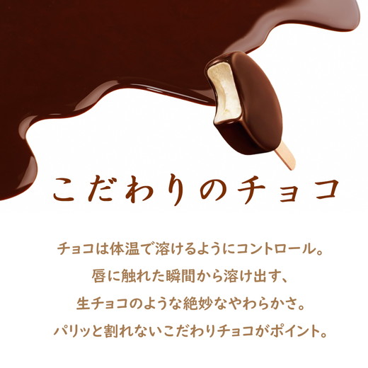 アイスクリーム PARM パルム チョコレート マルチ 6本入×2箱 12本 | 森永乳業 アイス 棒アイス アイスバー 箱アイス バニラ チョコ チョコレート 濃厚アイス アイスクリーム アイスセット 詰合せ 箱売り 箱買い まとめ買い おやつ スイーツ ※離島への配送不可