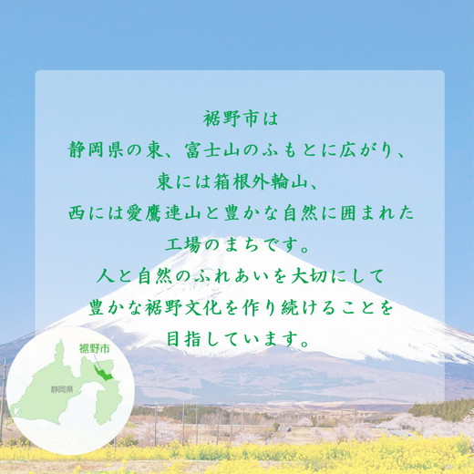 アイスクリーム PARM パルム チョコレート マルチ 6本入×2箱 12本 | 森永乳業 アイス 棒アイス アイスバー 箱アイス バニラ チョコ チョコレート 濃厚アイス アイスクリーム アイスセット 詰合せ 箱売り 箱買い まとめ買い おやつ スイーツ ※離島への配送不可