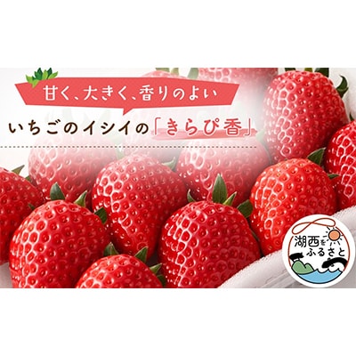 【静岡県産いちご】きらぴ香 280g×2パック【配送不可地域：離島・北海道・沖縄県・東北・中国・四国・九州】【1561173】