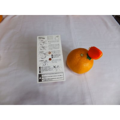 オレンジシュッター【1385441】