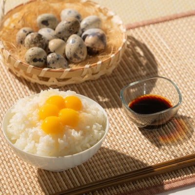 命のカプセル　うずらの生卵60個【配送不可地域：離島】【1508077】