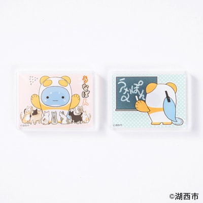 縲先ケ冶・ソ蟶ょャ蠑上く繝」繝ゥ縲代≧縺ェ縺ス繧 繝槭げ繝阪ャ繝2遞ョ繝サ繧「繧ッ繝ェ繝ォ繧ケ繧ソ繝ウ繝2遞ョ縲4轤ケ繧サ繝繝医1622640縲