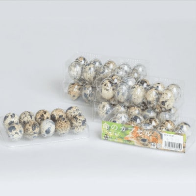 命のカプセル　うずらの生卵60個【配送不可地域：離島】【1508077】