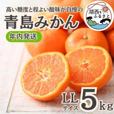 【年内発送】【12月中旬より順次出荷予定】青島みかん約5kg LLサイズ〔鈴木農園〕【1510094】