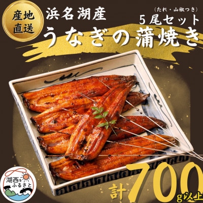 【国産】浜名湖うなぎ蒲焼き140g以上　5本セット(たれ・山椒付き)【配送不可地域：離島】【1487457】