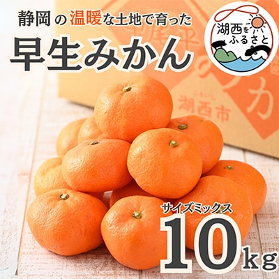 【先行受付】【11月上旬より順次出荷予定】早生みかん約10kg サイズミックス〔鈴木農園〕【1510106】