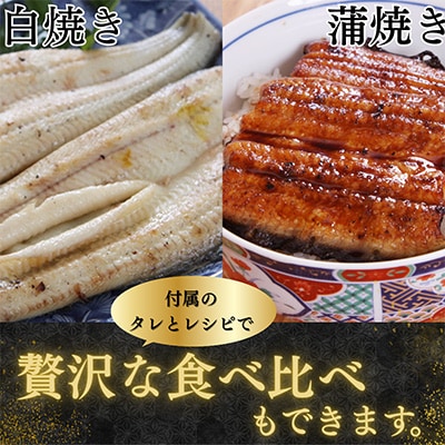 【蒲焼き用タレ付き】浜名湖うなぎ白焼き140g×5尾(冷凍・真空パック)【配送不可地域：離島】【1497507】