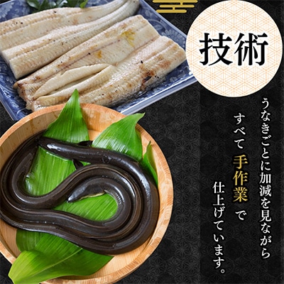 【蒲焼き用タレ付き】浜名湖うなぎ白焼き140g×10尾(冷凍・真空パック)【配送不可地域：離島】【1497509】