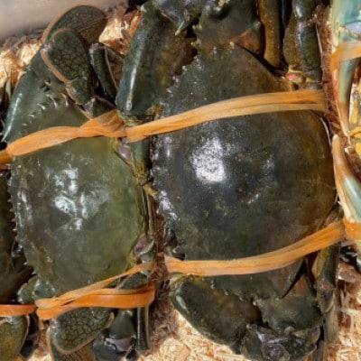 【浜名湖産】ドウマンガニのカンジャンケジャン 2杯【配送不可地域：離島】【1499174】