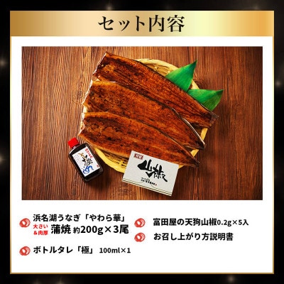 大豆イソフラボンで育てた浜名湖うなぎ蒲焼「やわら華」大きくて肉厚 (約200g×3尾)【配送不可地域：離島】【1746468】