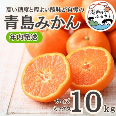 【年内発送】【12月中旬より順次出荷予定】青島みかん約10kgサイズミックス〔鈴木農園〕【1510113】