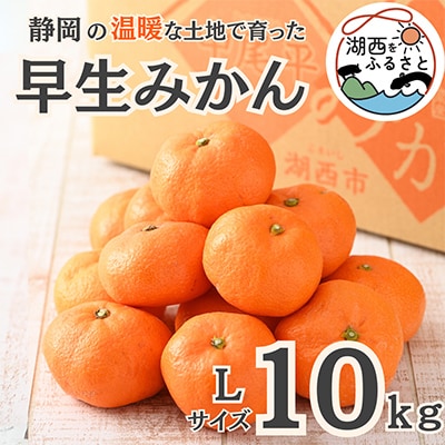 【先行受付】【11月上旬より順次出荷予定】早生みかん約10kg Lサイズ〔鈴木農園〕【1510108】