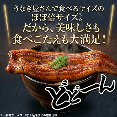 大豆イソフラボンで育てた浜名湖うなぎ蒲焼「やわら華」大きくて肉厚 (約250g×1尾)【配送不可地域：離島】【1729563】