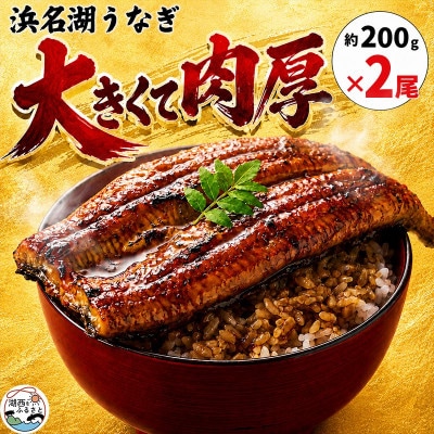 大豆イソフラボンで育てた浜名湖うなぎ蒲焼「やわら華」大きくて肉厚 (約200g×2尾)【配送不可地域：離島】【1746436】