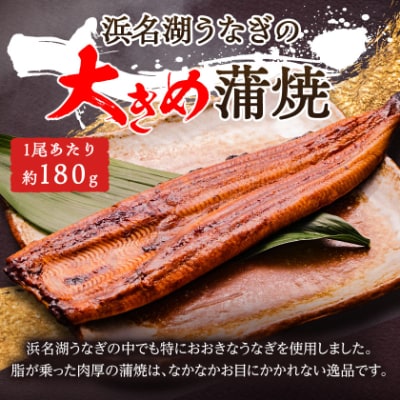 鬟溷刀豺サ蜉迚ゥ荳堺スソ逕ィ縺ョ豬懷錐貉悶≧縺ェ縺弱髟キ闥イ辟シ1蟆セ(邏180gテ1)螟ァ縺阪↑縺縺ェ縺弱↑縺ョ縺ァ閼ゅヮ繝ェ繝弱Μ縺ァ縺!縲宣埼∽ク榊庄蝨ー蝓滂シ夐屬蟲カ縲代1472423縲