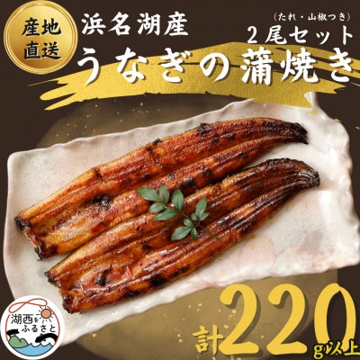 【国産】浜名湖うなぎ蒲焼き110g以上　2本セット(たれ・山椒付き)【配送不可地域：離島】【1487458】