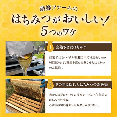 浜名湖ほとりで採れた天然はちみつ 渚みかんはちみつ・みなと百花はちみつ 各460g 2本セット【1394028】