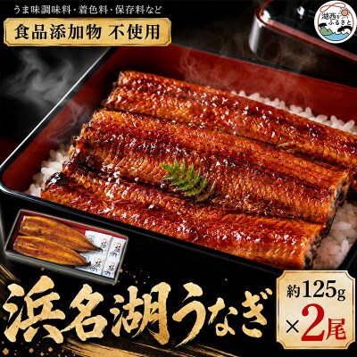 食品添加物不使用の浜名湖うなぎ　蒲焼2尾(約125g×2)【配送不可地域：離島】【1472420】