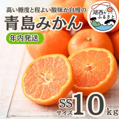 【年内発送】【12月中旬より順次出荷予定】青島みかん約10kg SS〔鈴木農園〕【1510091】