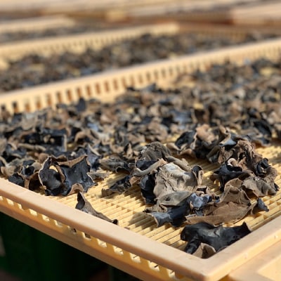 縲宣撕蟯。逵檎肇縲台ケセ辯・縺阪¥繧峨£縲100gテ2陲九險200g縲1391854縲