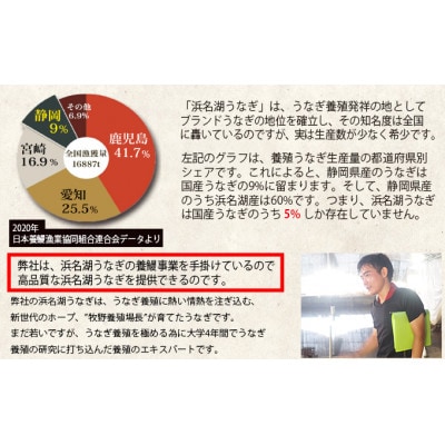 【発送月固定定期便】食品添加物不使用の浜名湖うなぎ　脂ノリノリ大きな長蒲焼6尾+肝焼き付き全3回【配送不可地域：離島】【4059762】
