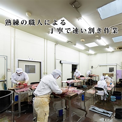 浜名湖産うなぎ　上・長蒲焼パック3枚入り【配送不可地域：離島】【1386529】