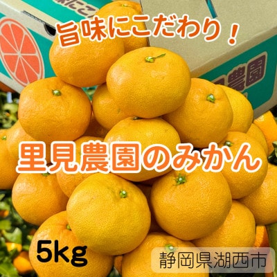 【旨味にこだわり】里見農園のみかん Mサイズ 5kg【1697828】