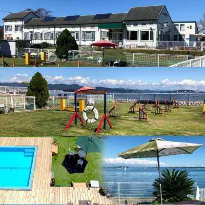 ペロはまなこ 宿泊券 2年間有効「素泊まりプラン」平日のみ2名様 8畳洋室　ペットと泊まれる【1387774】