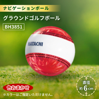 ナビゲーションボール グラウンドゴルフボール BH3851【1599025】