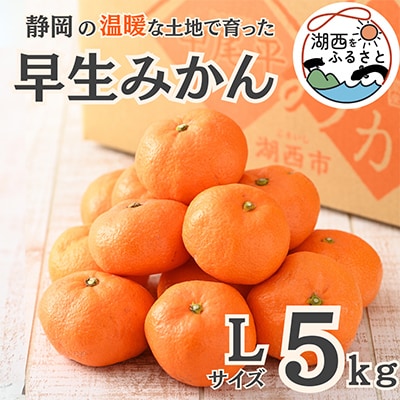 【先行受付】【11月上旬より順次出荷予定】早生みかん約5kg Lサイズ〔鈴木農園〕【1510117】