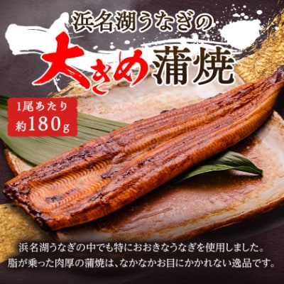 鬟溷刀豺サ蜉迚ゥ荳堺スソ逕ィ縺ョ豬懷錐貉悶≧縺ェ縺弱髟キ闥イ辟シ5蟆セ(邏180gテ5)螟ァ縺阪↑縺縺ェ縺弱〒閼ゅヮ繝ェ繝弱Μ縺ァ縺!閧晉┥縺堺サ倥宣埼∽ク榊庄蝨ー蝓滂シ夐屬蟲カ縲代1473248縲