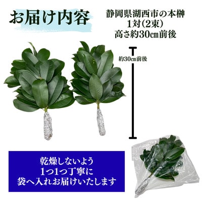 é岡çç£æ¹è¥¿åžãåºäžæŠãæ¬æŠãçŽåœç£ãããã1察(2æ)â»1æ¥äº€æã«éã«åãããã«é
éã1702133ã