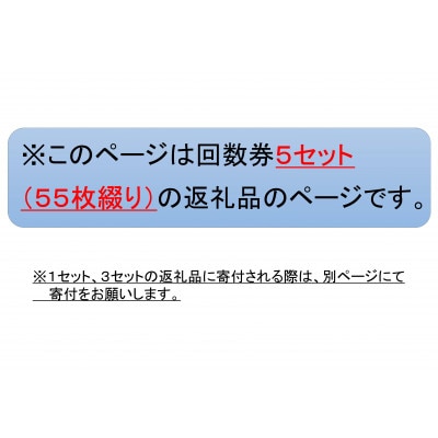 新居弁天海釣公園★駐車場回数券 5セット(55枚綴)【1450333】