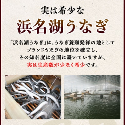 鬟溷刀豺サ蜉迚ゥ荳堺スソ逕ィ縺ョ豬懷錐貉悶≧縺ェ縺弱髟キ闥イ辟シ1蟆セ(邏180gテ1)螟ァ縺阪↑縺縺ェ縺弱↑縺ョ縺ァ閼ゅヮ繝ェ繝弱Μ縺ァ縺!縲宣埼∽ク榊庄蝨ー蝓滂シ夐屬蟲カ縲代1472423縲