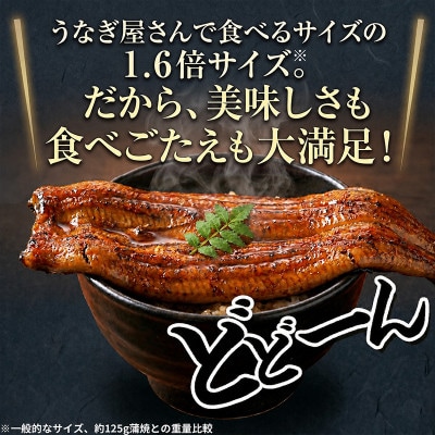 大豆イソフラボンで育てた浜名湖うなぎ蒲焼「やわら華」大きくて肉厚 (約200g×3尾)【配送不可地域：離島】【1746468】