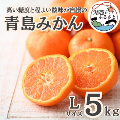 【先行受付】【2026年1月より順次出荷予定】青島みかん約5kg Lサイズ〔鈴木農園〕【1510101】