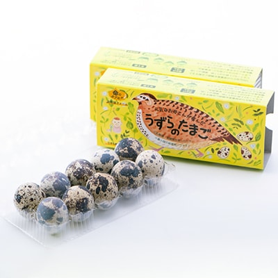 【産地直送】うずらの卵満足セット【配送不可地域：離島】【1388897】