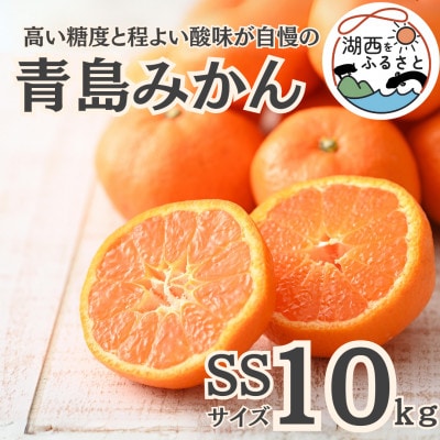 【先行受付】【2027年1月初旬頃より順次出荷予定】青島みかん約10kg SSサイズ〔鈴木農園〕【1510112】