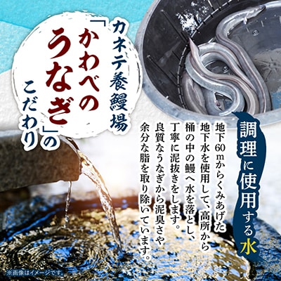 【産地直送】浜名湖産　うなぎ蒲焼 約150g×2尾[かわべのうなぎ]【配送不可地域：離島】【1389386】