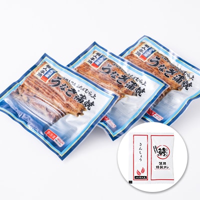 三代目むら上の職人手焼　浜名湖産鰻蒲焼120g(3枚)　たれ・山椒付き【配送不可地域：離島】【1403763】