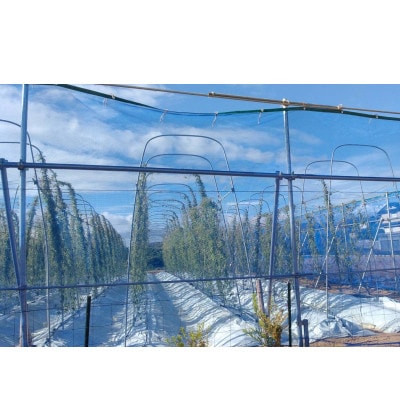 どうまいとろろ8個入り(味付き)【配送不可地域：離島】【1388912】