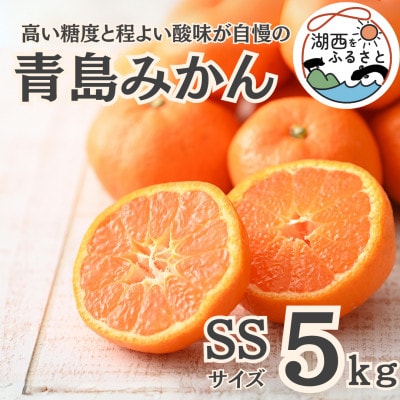 【先行受付】【2027年1月初旬頃より順次出荷予定】青島みかん約5kg SSサイズ〔鈴木農園〕【1510107】