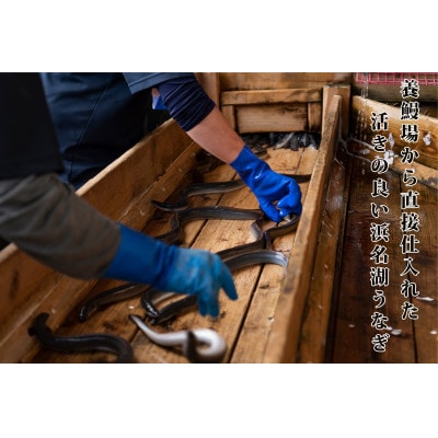 浜名湖産うなぎ　大・長蒲焼パック　4枚入り【配送不可地域：離島】【1533781】