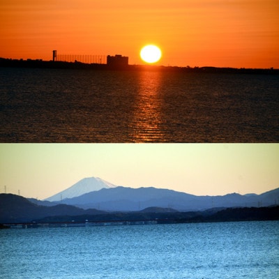 ペロはまなこ 宿泊券 1年間有効「素泊まりプラン」限定日なし3名様 10畳洋室　ペットと泊まれる【1387785】