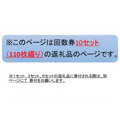 新居弁天海釣公園★駐車場回数券　10セット(110枚綴)【1478842】