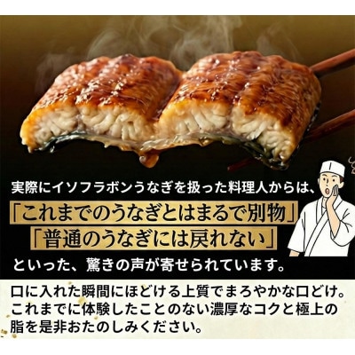 大豆イソフラボンで育てた浜名湖うなぎ蒲焼「やわら華」大きくて肉厚 (約250g×1尾)【配送不可地域：離島】【1729563】
