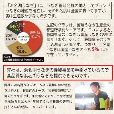 浜名湖うなぎ　蒲焼2尾(約110g×2)　食品添加物不使用こだわりのタレ使用【配送不可地域：離島】【1730450】