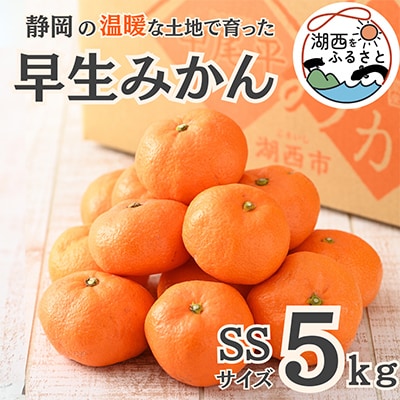 【先行受付】【11月上旬より順次出荷予定】早生みかん約5kg SSサイズ〔鈴木農園〕【1510119】