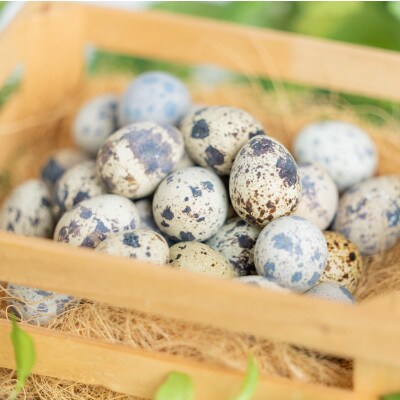 命のカプセル　うずらの生卵40個【配送不可地域：離島】【1508075】